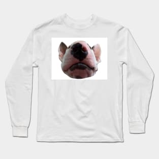 Hey Arnold, the Bull Terrier Long Sleeve T-Shirt